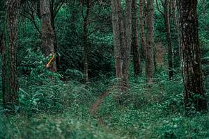 BIB: 
                            <button type="button" onclick="openModal(25236804)" class="btn btn-primary btn-sm float-right btn-popup" data-toggle="modal" data-target=".modal-high-quality">
                        <i class="fas fa-shopping-cart"></i> Add to Cart
                    </button>
                                            <button type="button" onclick="isThisMe(25236804, true)" class="btn btn-success btn-sm float-right btn-popup btn-isme hidden" data-toggle="tooltip" data-placement="bottom" title="นี่คือรูปของคุณใช่ไหม คลิกที่นี่เพื่อเอาเข้าอัลบั้ม">
                        <i class="fas fa-plus"></i> Add to album
                    </button>
                    <button type="button" onclick="isThisMe(25236804, false)" class="btn btn-warning btn-sm float-right btn-popup btn-isnotme hidden">
                        <i class="fas fa-ban"></i> Remove from album
                    </button>